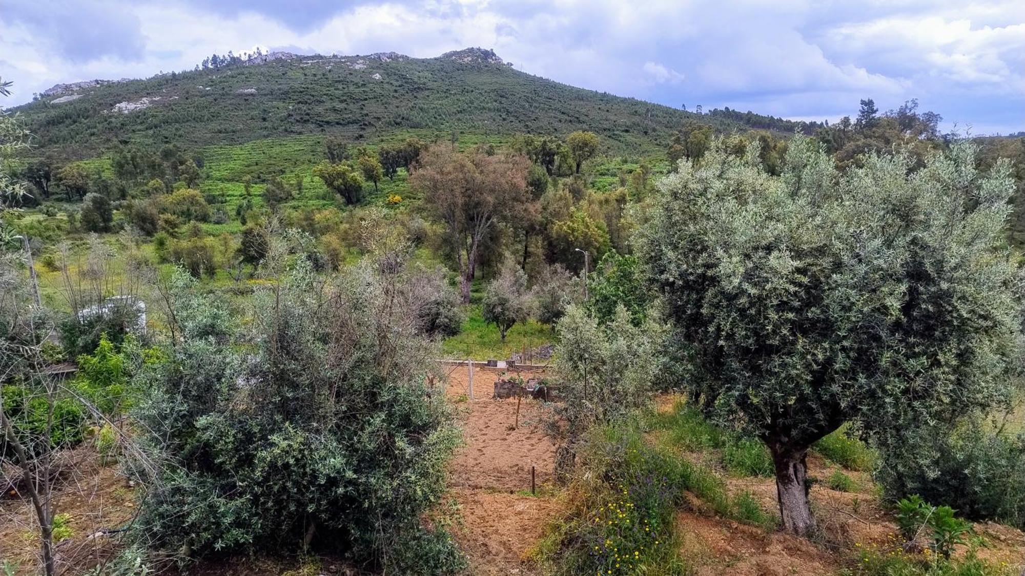 Alegria Rustica 2 Rustic Happiness Bed & Breakfast Envendos Dış mekan fotoğraf