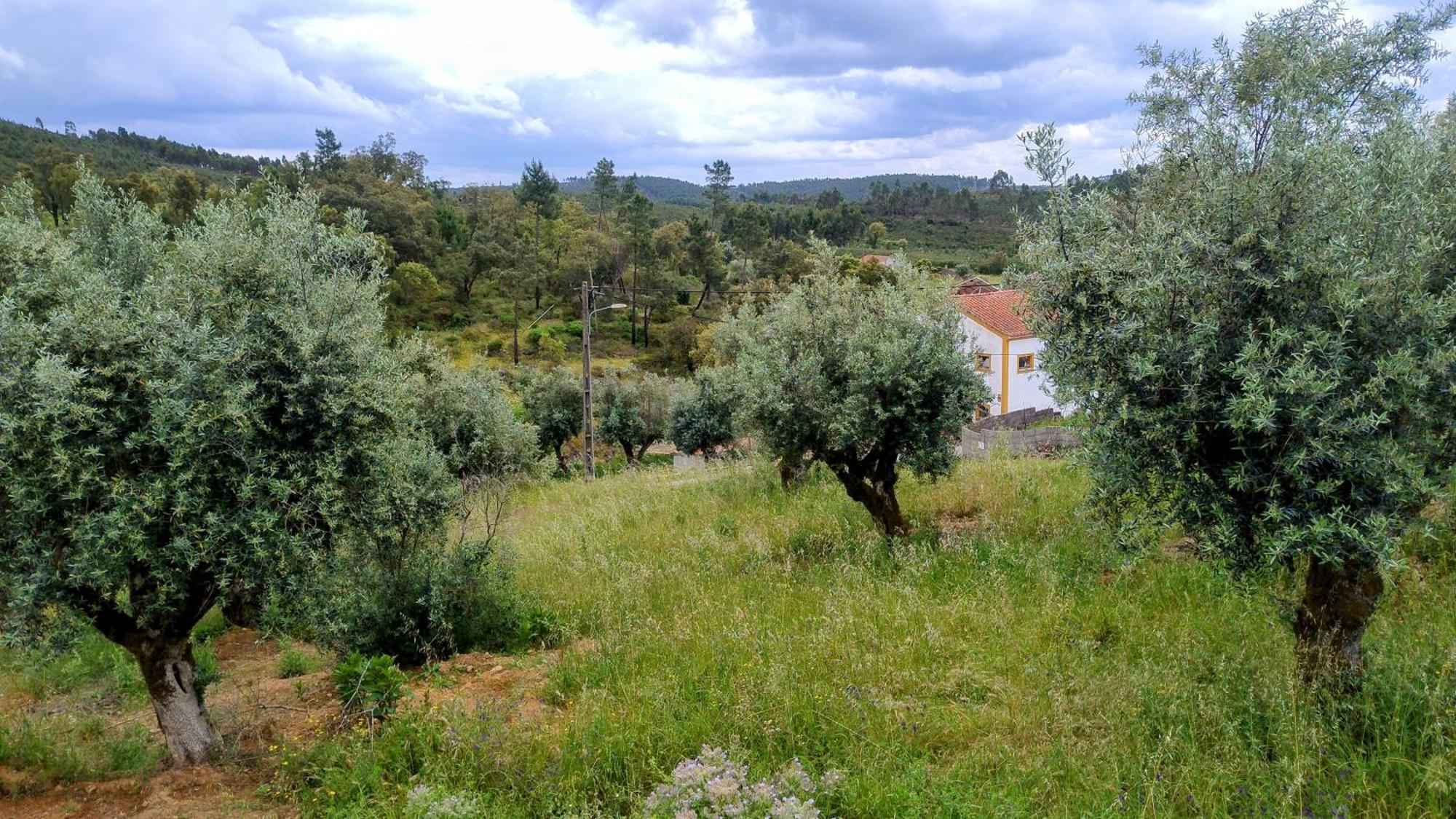 Alegria Rustica 2 Rustic Happiness Bed & Breakfast Envendos Dış mekan fotoğraf